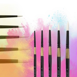 /categories/ami category